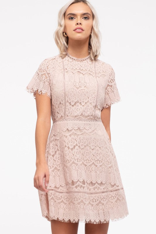 LACE MINI DRESS BLUSH Shai Blu